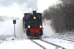 Eine Attraktion waren die vorbeifahrenden Dampflokomotiven